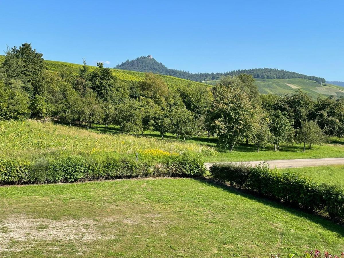 Ferienwohnung Reblandblick Baden-Baden Exterior foto
